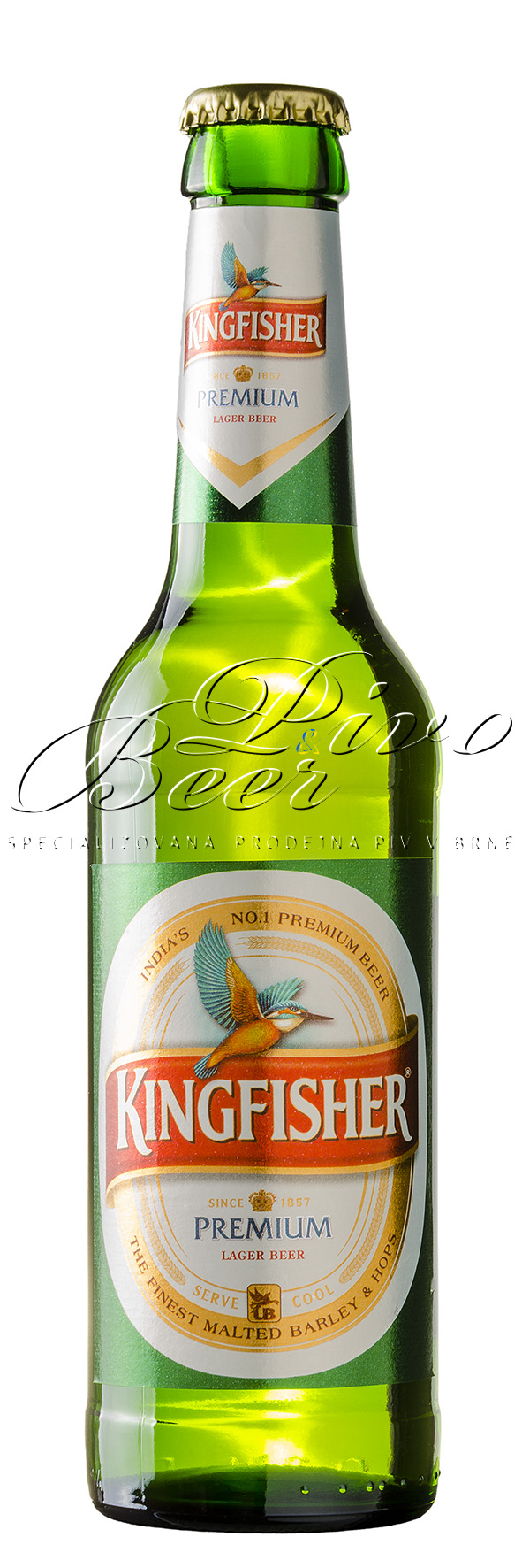 Indie - Kingfisher